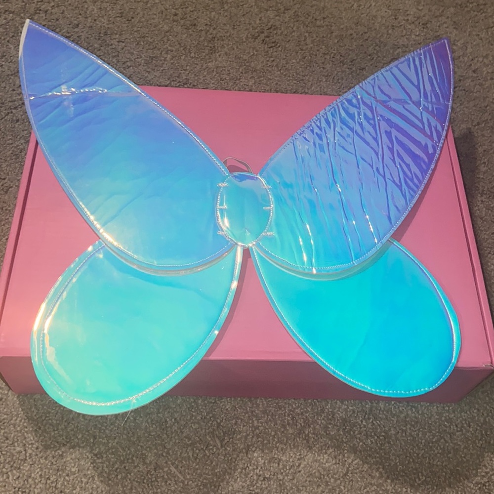 Iridescent Fairy Wings